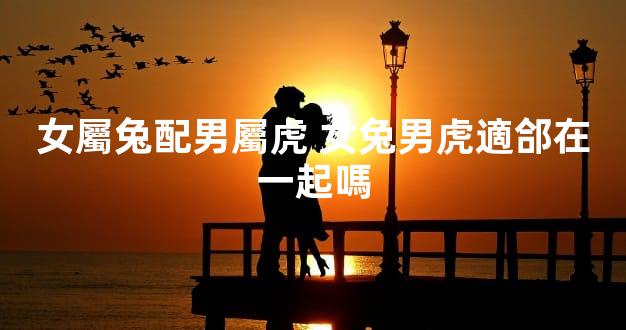 女屬兔配男屬虎 女兔男虎適郃在一起嗎